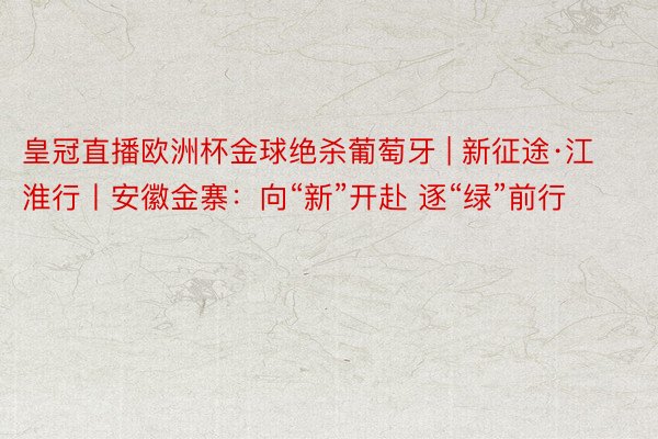 皇冠直播欧洲杯金球绝杀葡萄牙 | 新征途·江淮行丨安徽金寨：向“新”开赴 逐“绿”前行