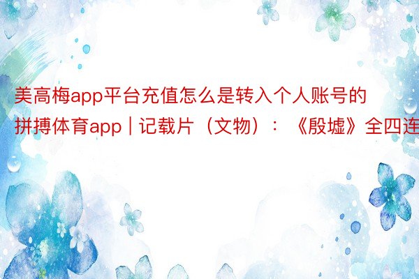 美高梅app平台充值怎么是转入个人账号的拼搏体育app | 记载片（文物）：《殷墟》全四连书籍