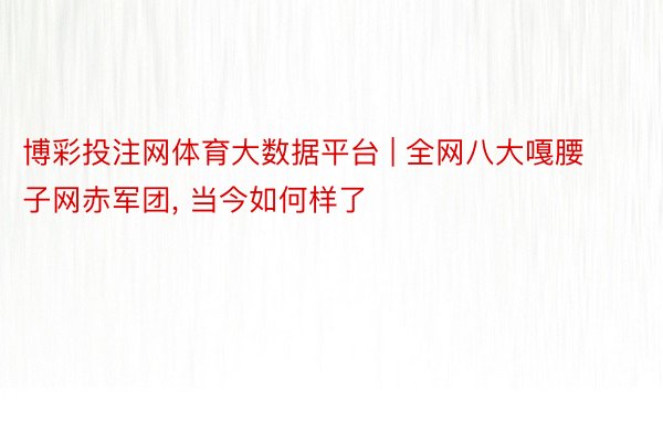 博彩投注网体育大数据平台 | 全网八大嘎腰子网赤军团, 当今如何样了